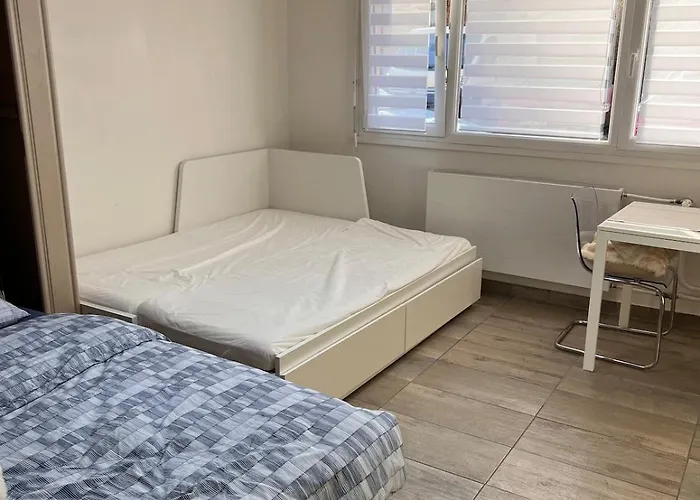 Appartement 50m De Gare De St-louis *